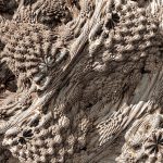 Mandelbulb